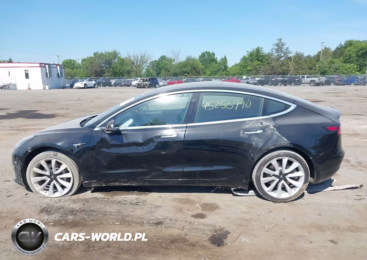 2020 Tesla Model 3 Long Range Dual Motor All-Wheel Drive VIN:5YJ3E1EB8LF666169 - 13