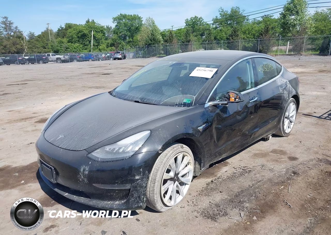 2020 Tesla Model 3 Long Range Dual Motor All-Wheel Drive VIN:5YJ3E1EB8LF666169 - 2