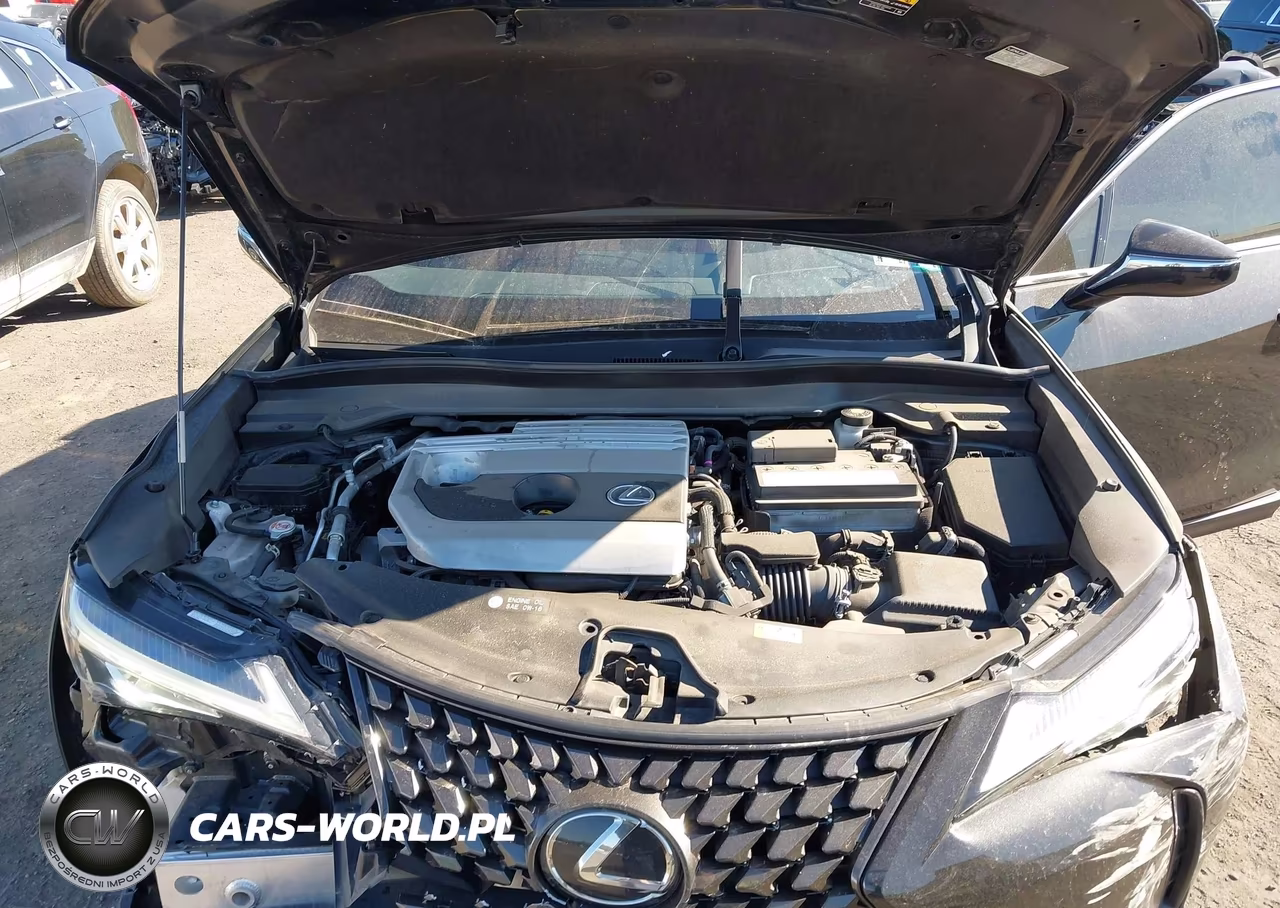 2022 Lexus Ux 200 VIN:JTHX3JBH4N2046388 - 10