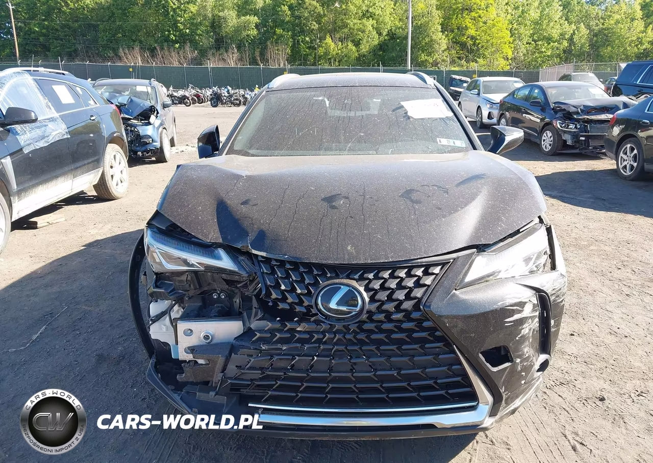 2022 Lexus Ux 200 VIN:JTHX3JBH4N2046388 - 12