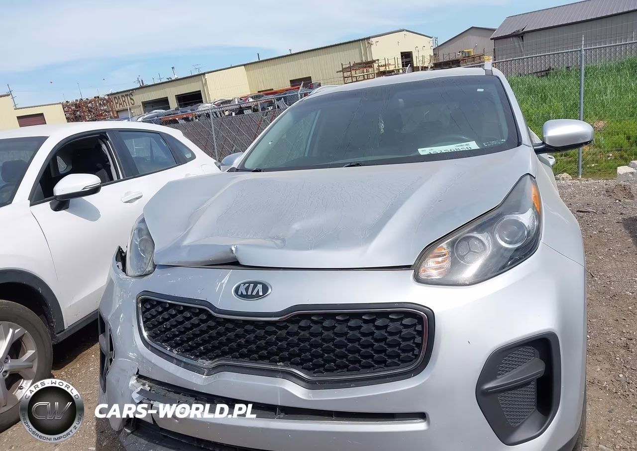 2019 Kia Sportage Lx VIN:KNDPM3AC6K7524177 - 12