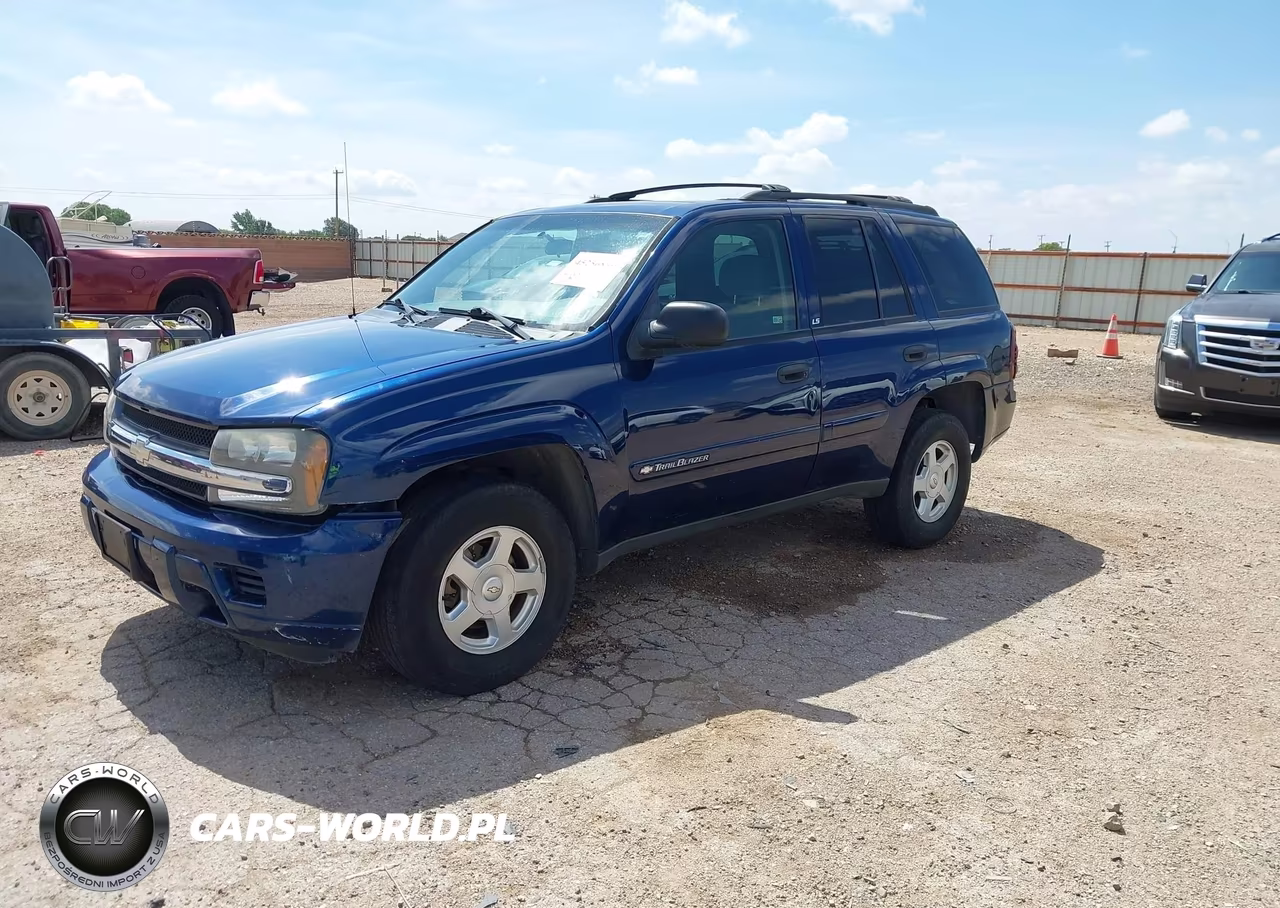 2002 Chevrolet Trailblazer Ls VIN:1GNDS13S722243821 - 2