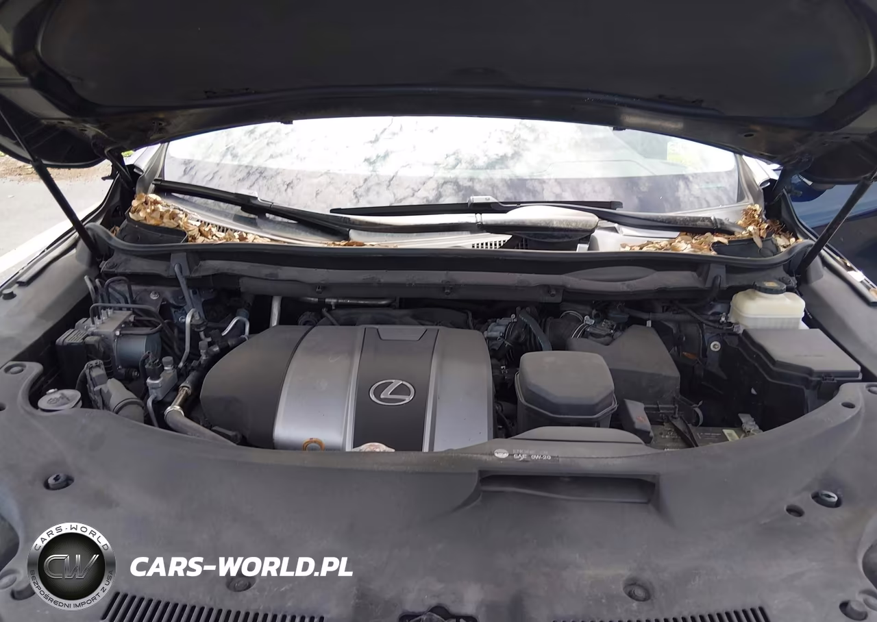 2019 Lexus Rx 350 VIN:2T2ZZMCA6KC117580 - 10