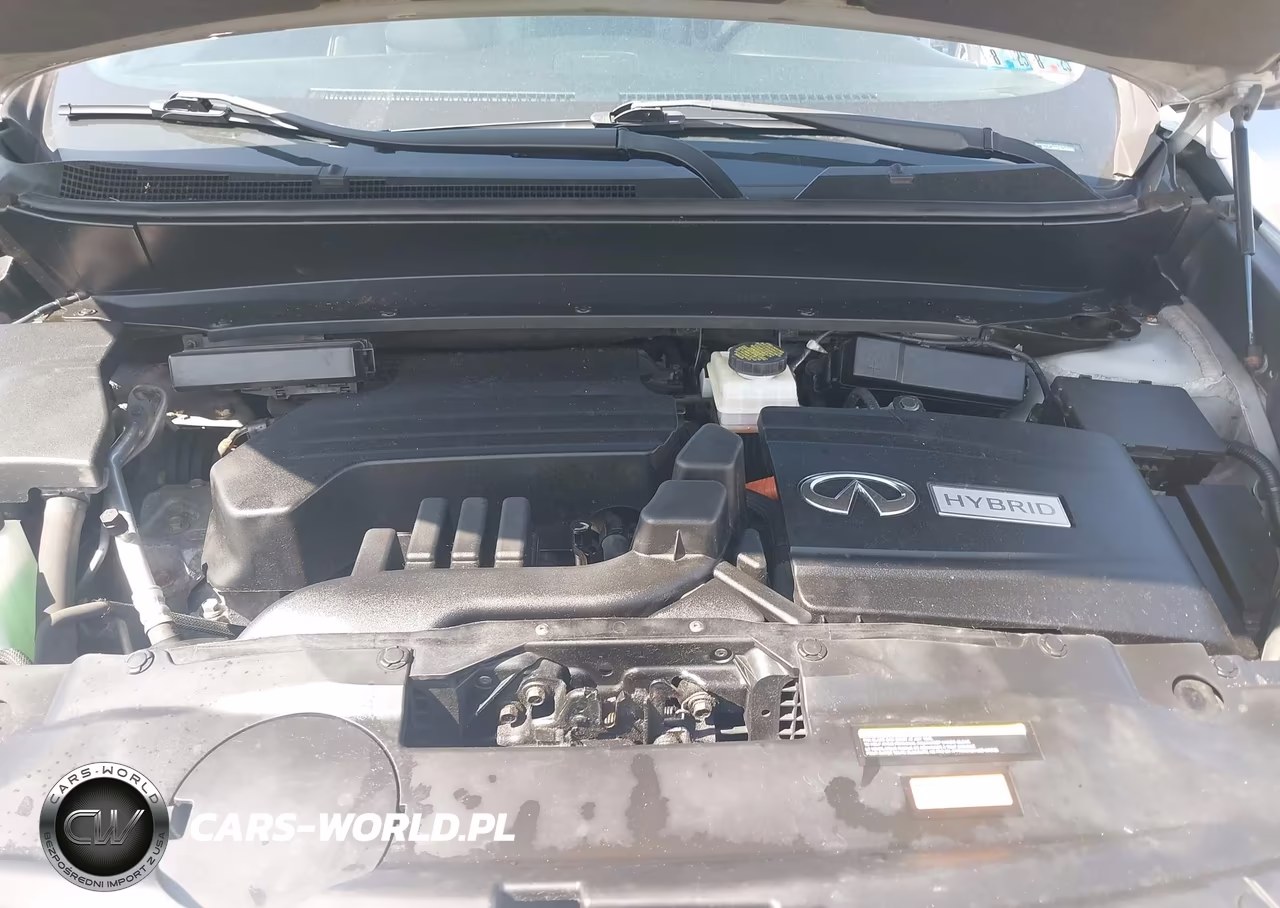 2014 Infiniti Qx60 Hybrid VIN:5N1CL0MM2EC530005 - 10