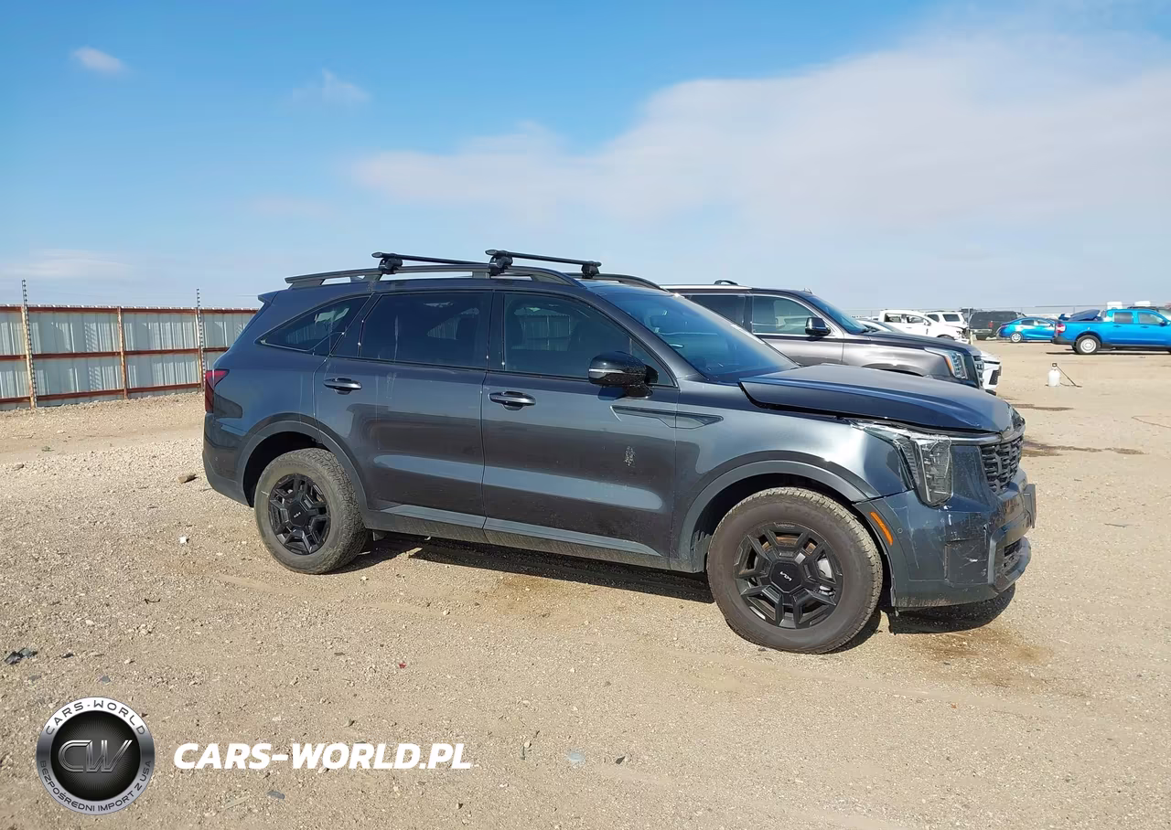 2024 Kia Sorento X-Pro Sx Prestige VIN:5XYRKDJF8RG261945 - 13