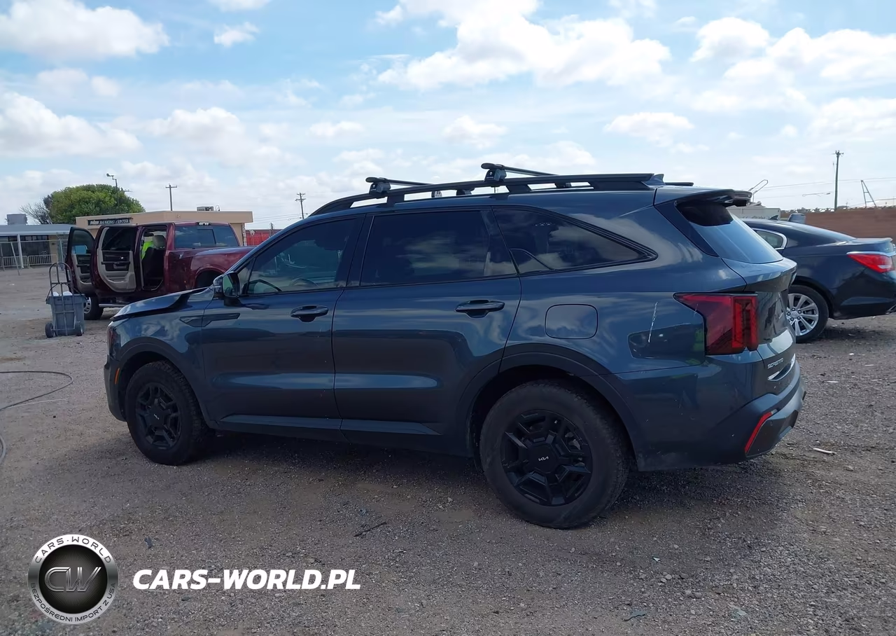 2024 Kia Sorento X-Pro Sx Prestige VIN:5XYRKDJF8RG261945 - 14