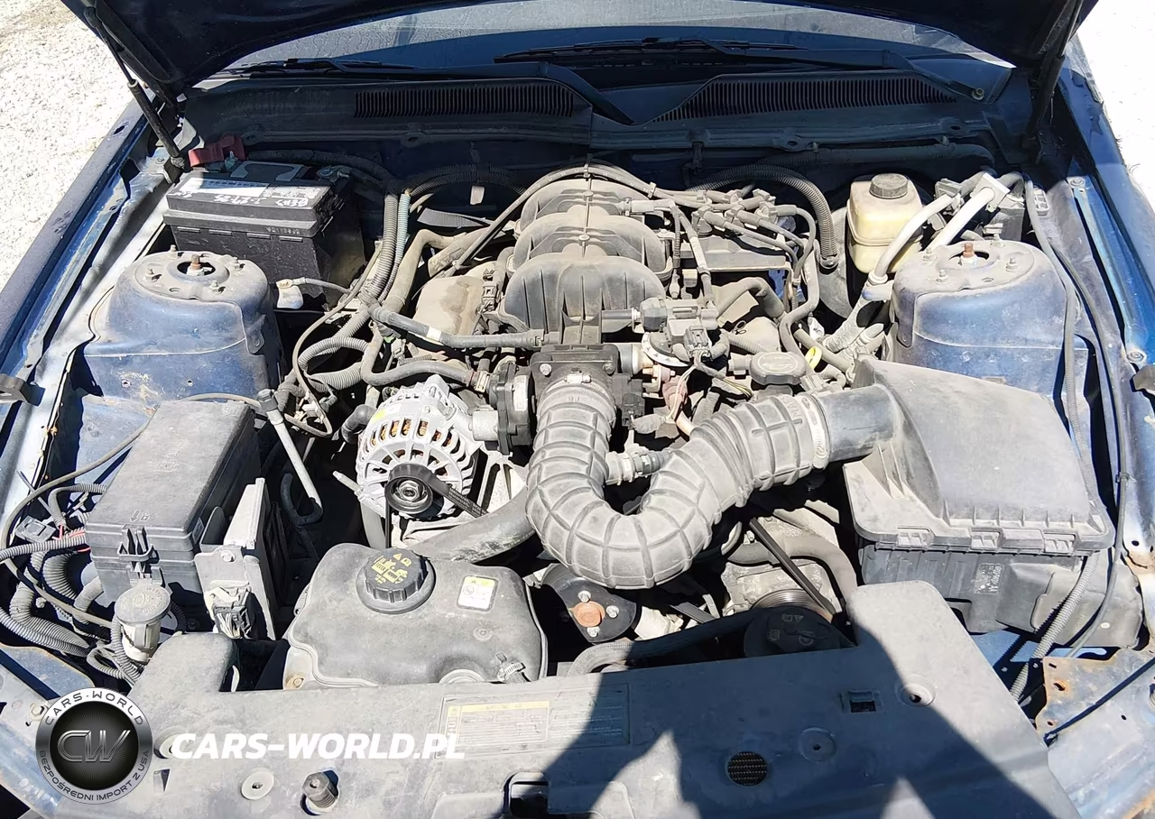 2007 Ford Mustang V6 Deluxe-V6 Premium VIN:1ZVFT80N675331333 - 10