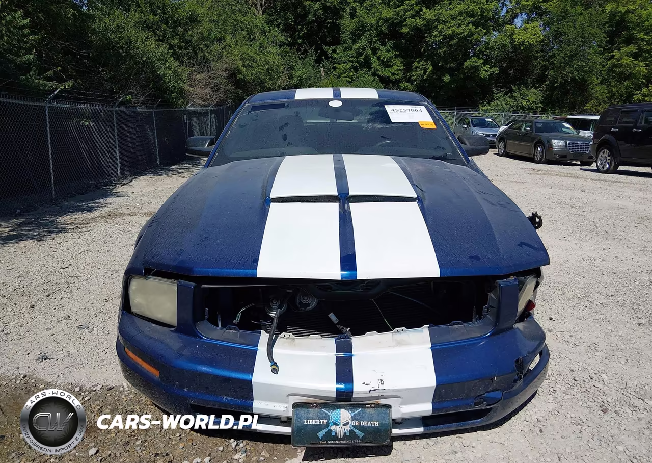 2007 Ford Mustang V6 Deluxe-V6 Premium VIN:1ZVFT80N675331333 - 13