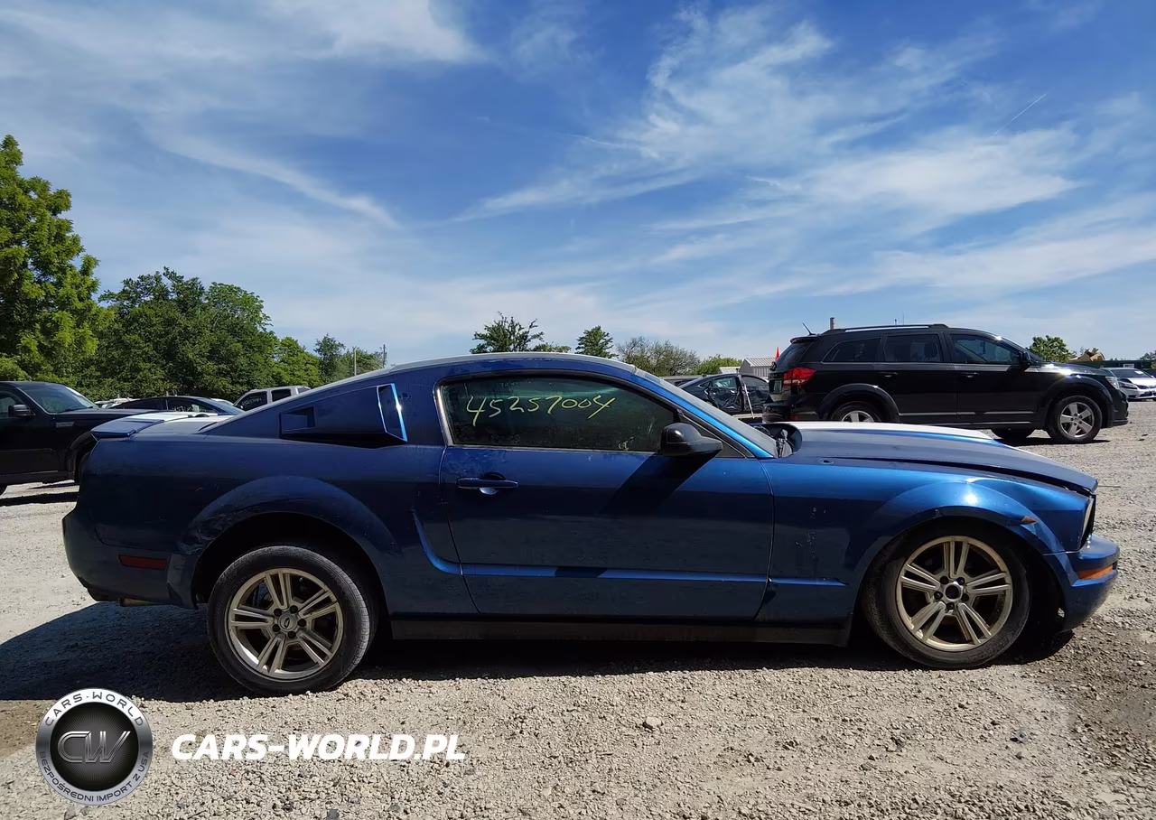 2007 Ford Mustang V6 Deluxe-V6 Premium VIN:1ZVFT80N675331333 - 14