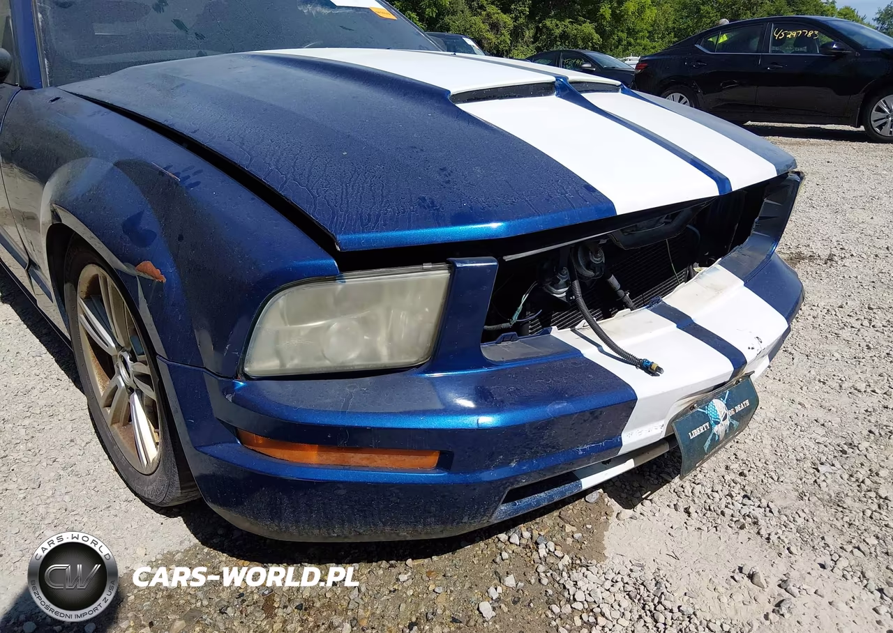 2007 Ford Mustang V6 Deluxe-V6 Premium VIN:1ZVFT80N675331333 - 18