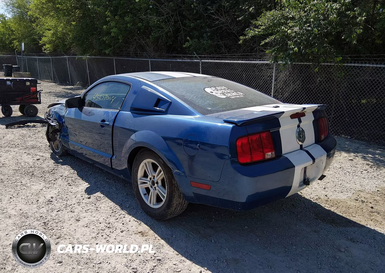 2007 Ford Mustang V6 Deluxe-V6 Premium VIN:1ZVFT80N675331333 - 3