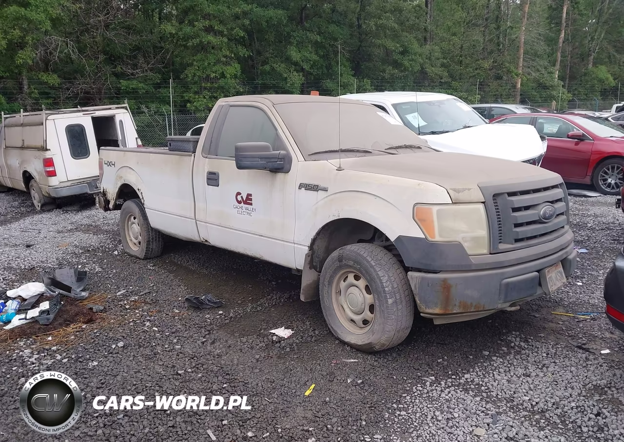 2010 Ford F-150 Xl-Xlt
