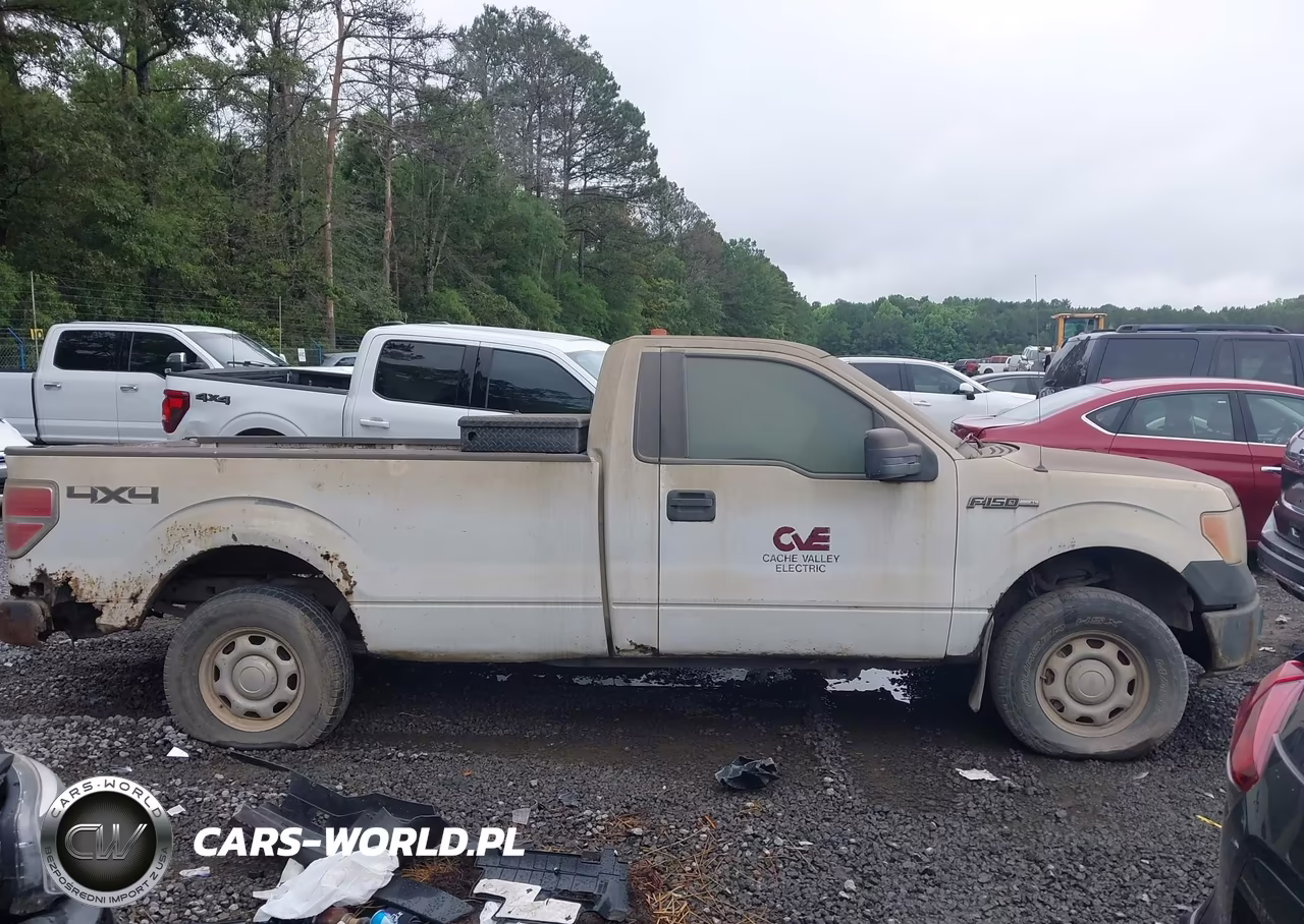 2010 Ford F-150 Xl-Xlt VIN:1FTNF1E86AKE43560 - 13