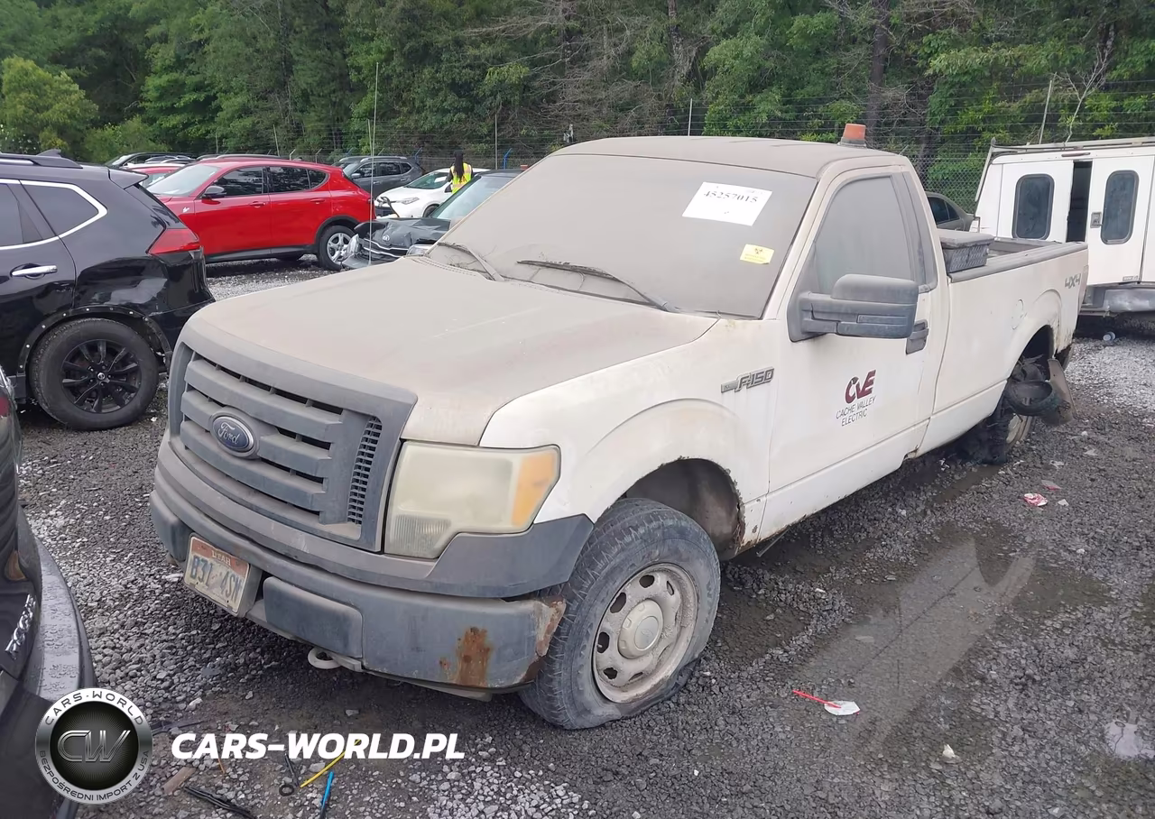 2010 Ford F-150 Xl-Xlt VIN:1FTNF1E86AKE43560 - 2