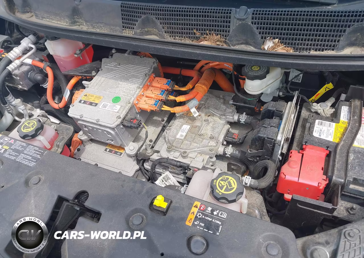 2018 Chevrolet Bolt Ev Lt VIN:1G1FW6S07J4124763 - 10