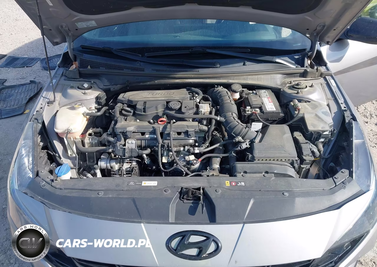 2022 Hyundai Elantra N Line VIN:KMHLR4AF4NU313352 - 10
