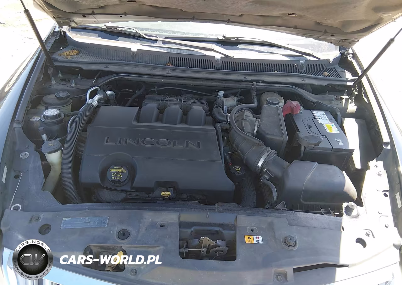 2009 Lincoln Mks VIN:1LNHM94R69G606746 - 10