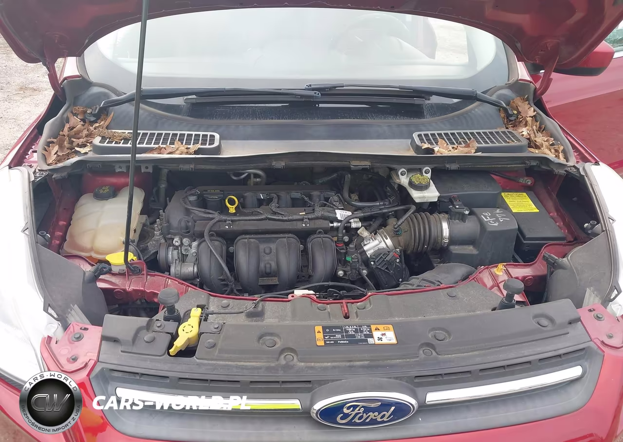 2015 Ford Escape Se VIN:1FMCU0G74FUC10280 - 10