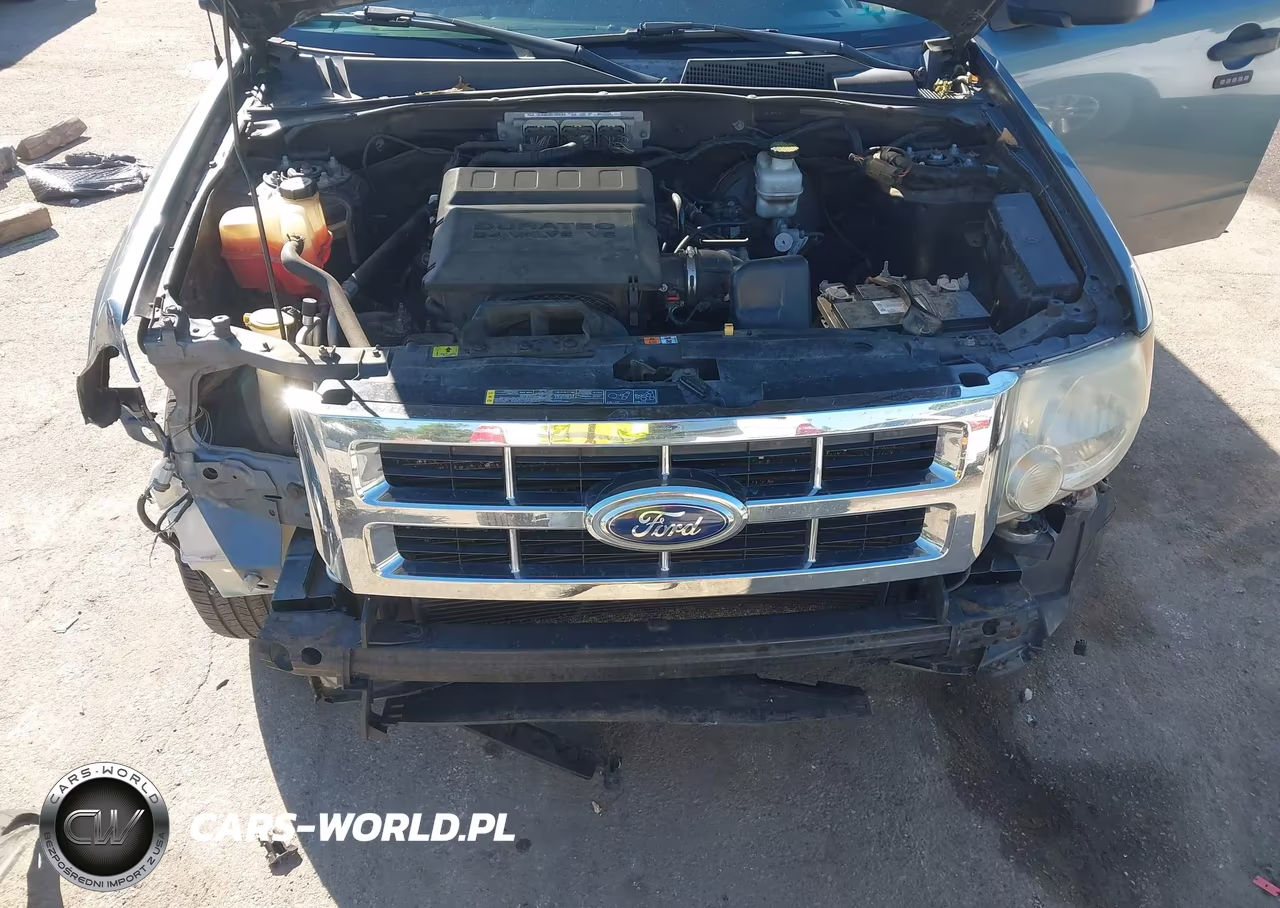 2012 Ford Escape Xlt VIN:1FMCU0DG4CKB30862 - 10