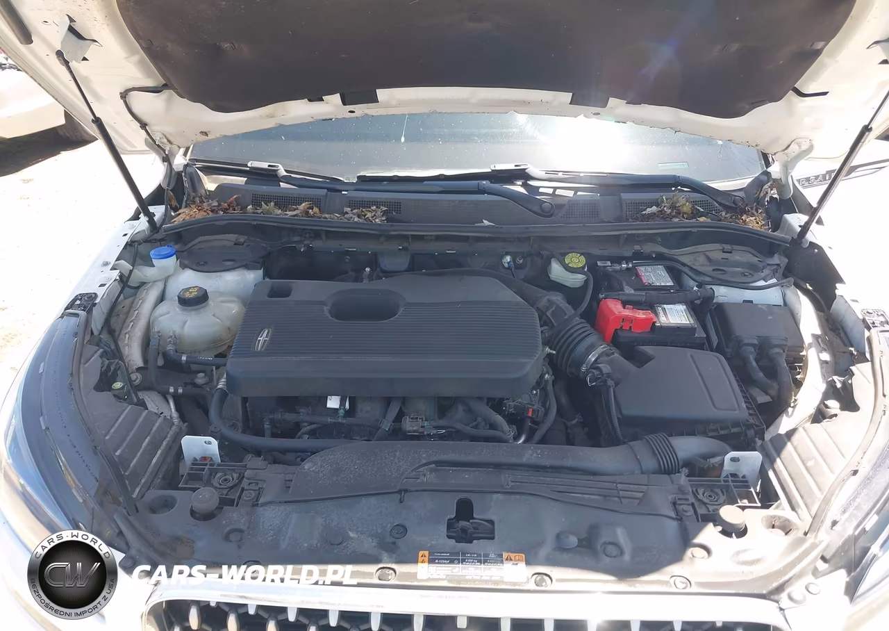 2020 Lincoln Corsair Reserve VIN:5LMCJ2C92LUL10205 - 10