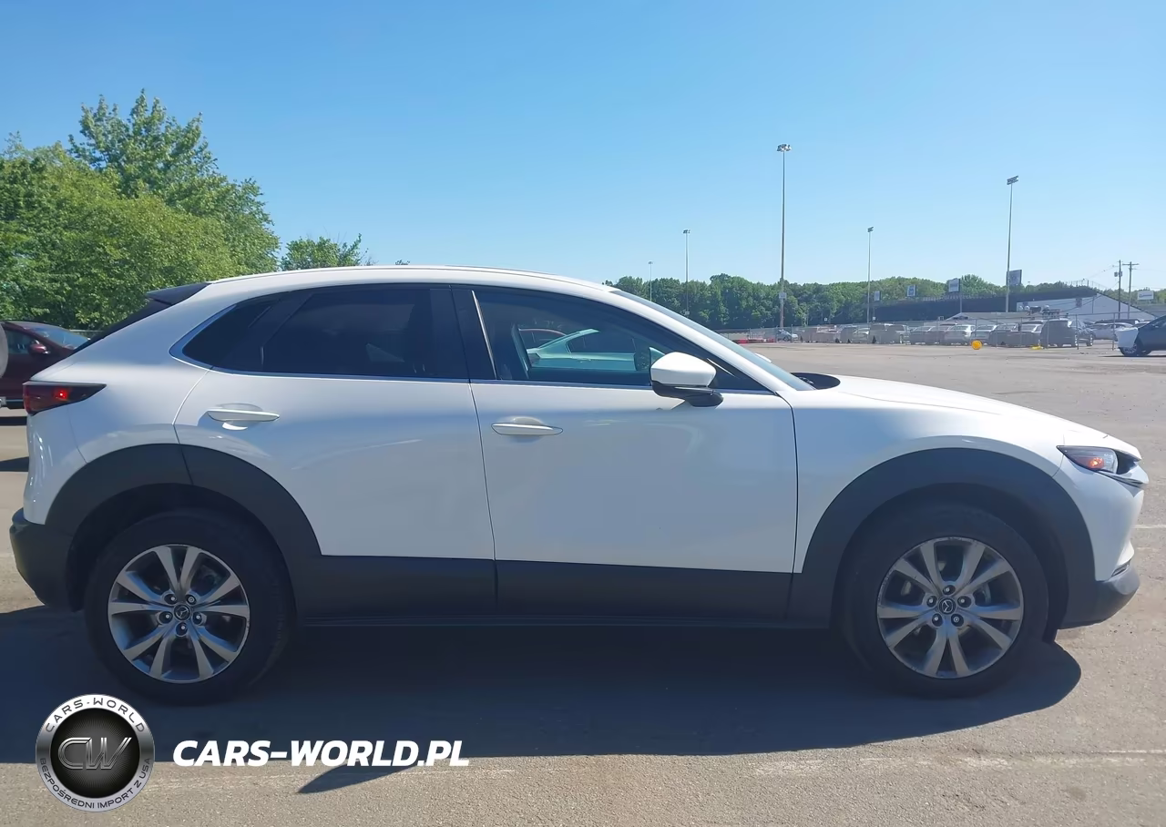 2021 Mazda Cx-30 Preferred VIN:3MVDMBCL2MM248341 - 13