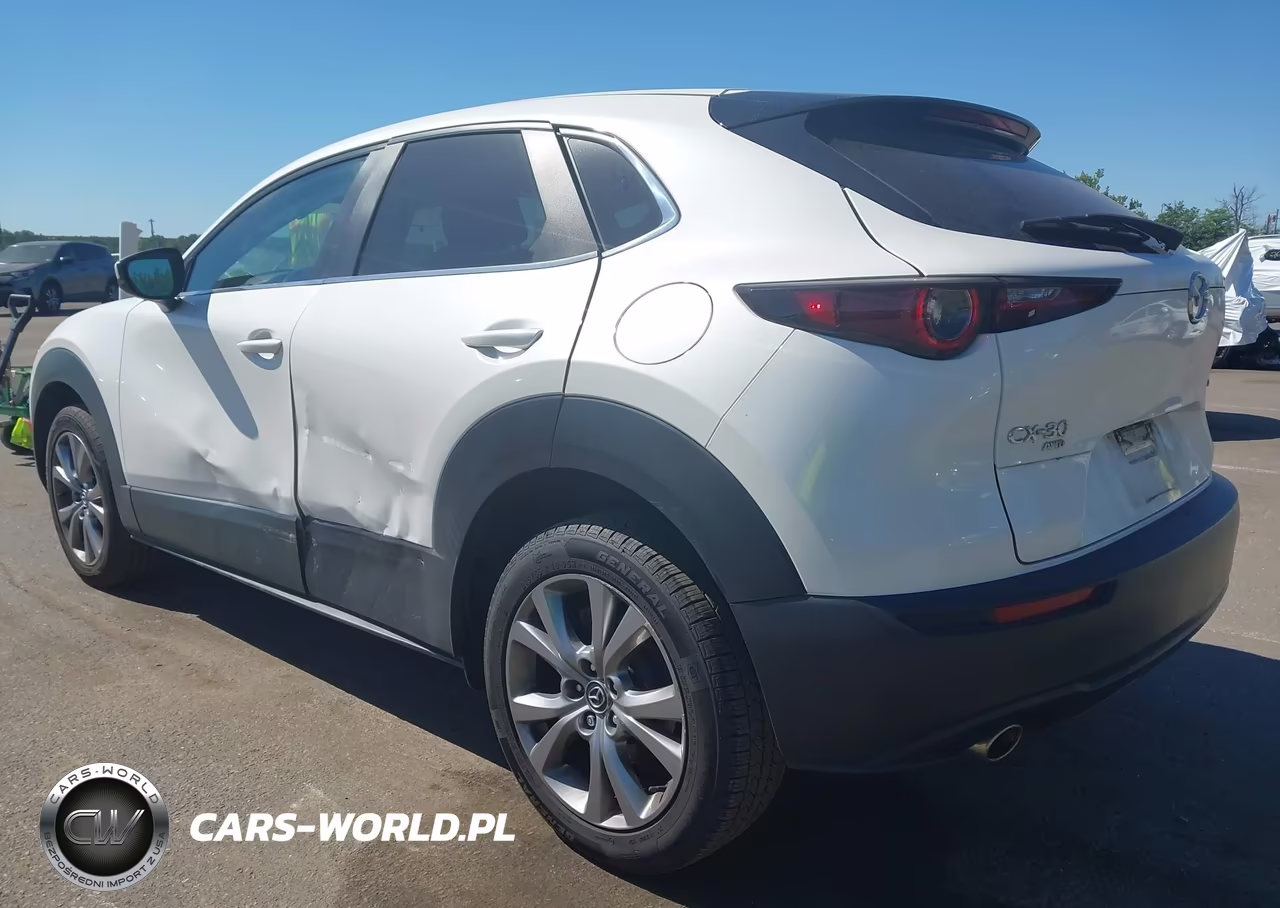 2021 Mazda Cx-30 Preferred VIN:3MVDMBCL2MM248341 - 3