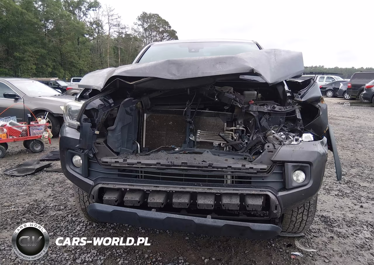 2019 Toyota Tacoma Trd Off Road VIN:3TMCZ5AN7KM271454 - 13