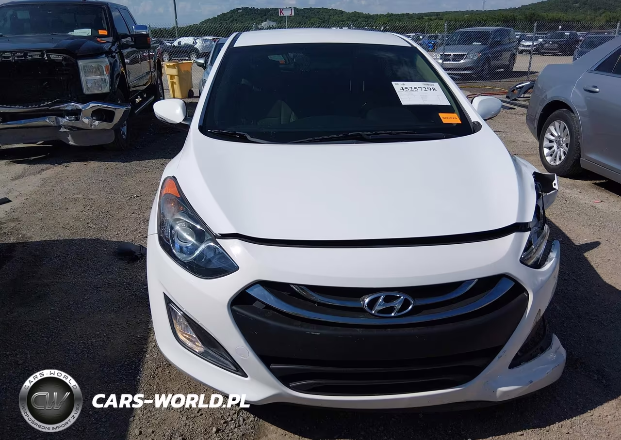 2014 Hyundai Elantra Gt VIN:KMHD35LH6EU174660 - 12