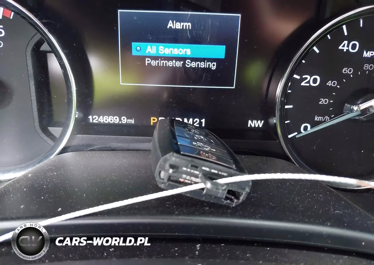2019 Ford F-250 Platinum VIN:1FT7W2BTXKED60821 - 11