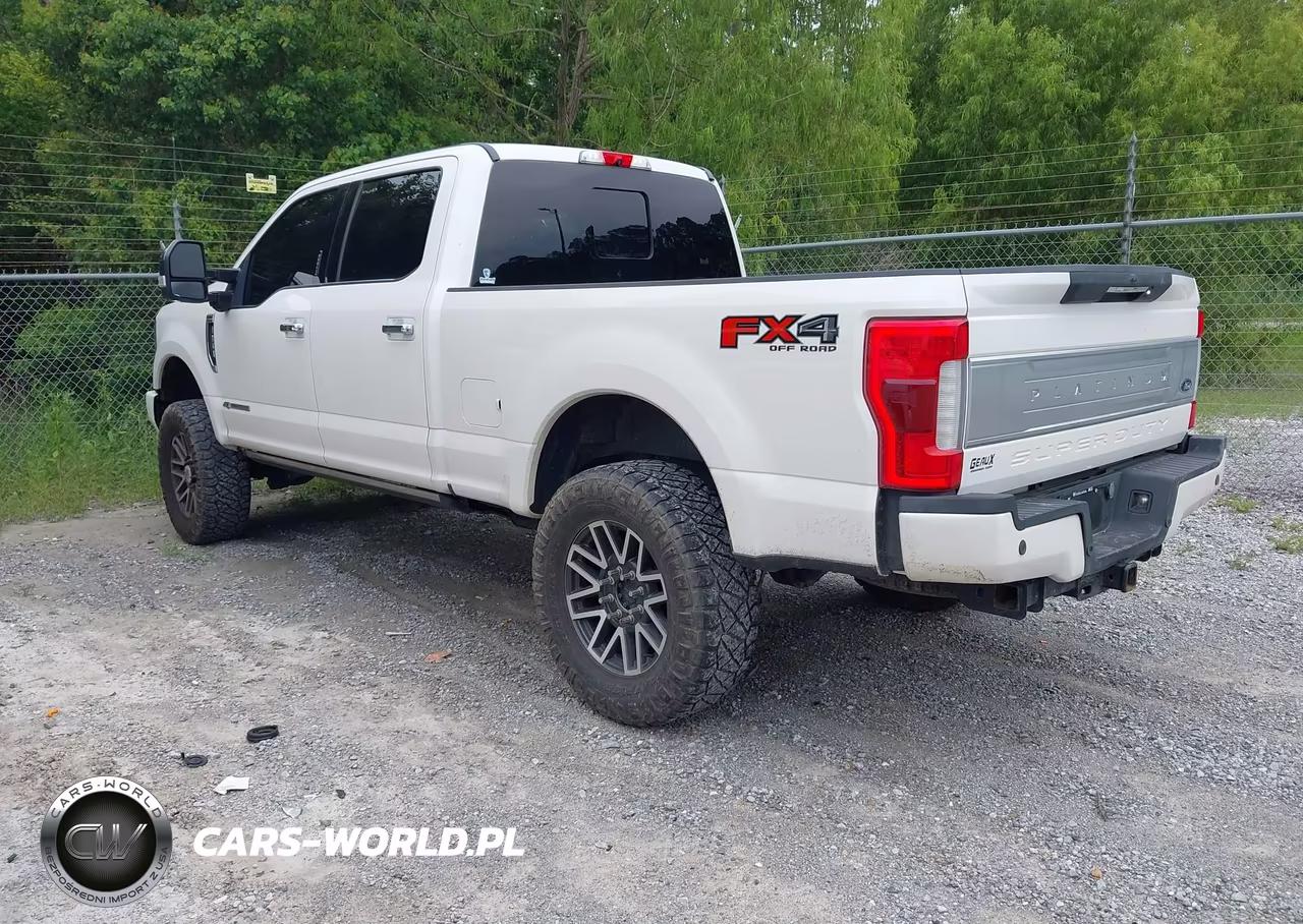 2019 Ford F-250 Platinum VIN:1FT7W2BTXKED60821 - 3