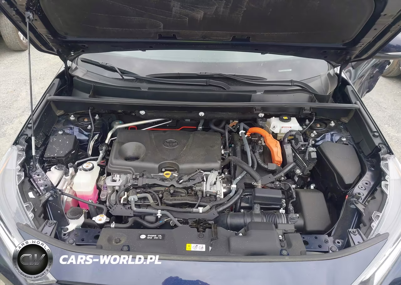 2019 Toyota Rav4 Hybrid Xle VIN:2T3RWRFV3KW028404 - 10