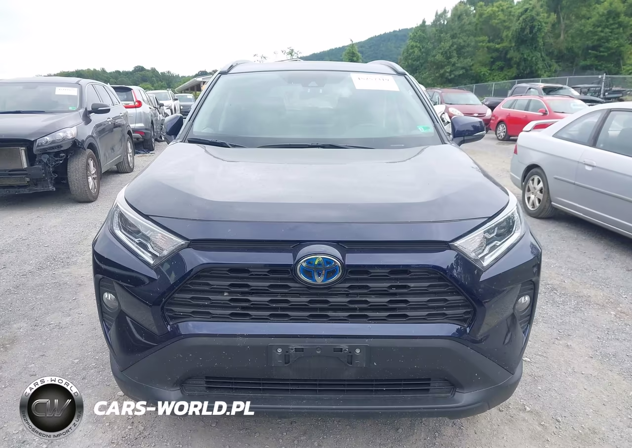 2019 Toyota Rav4 Hybrid Xle VIN:2T3RWRFV3KW028404 - 12