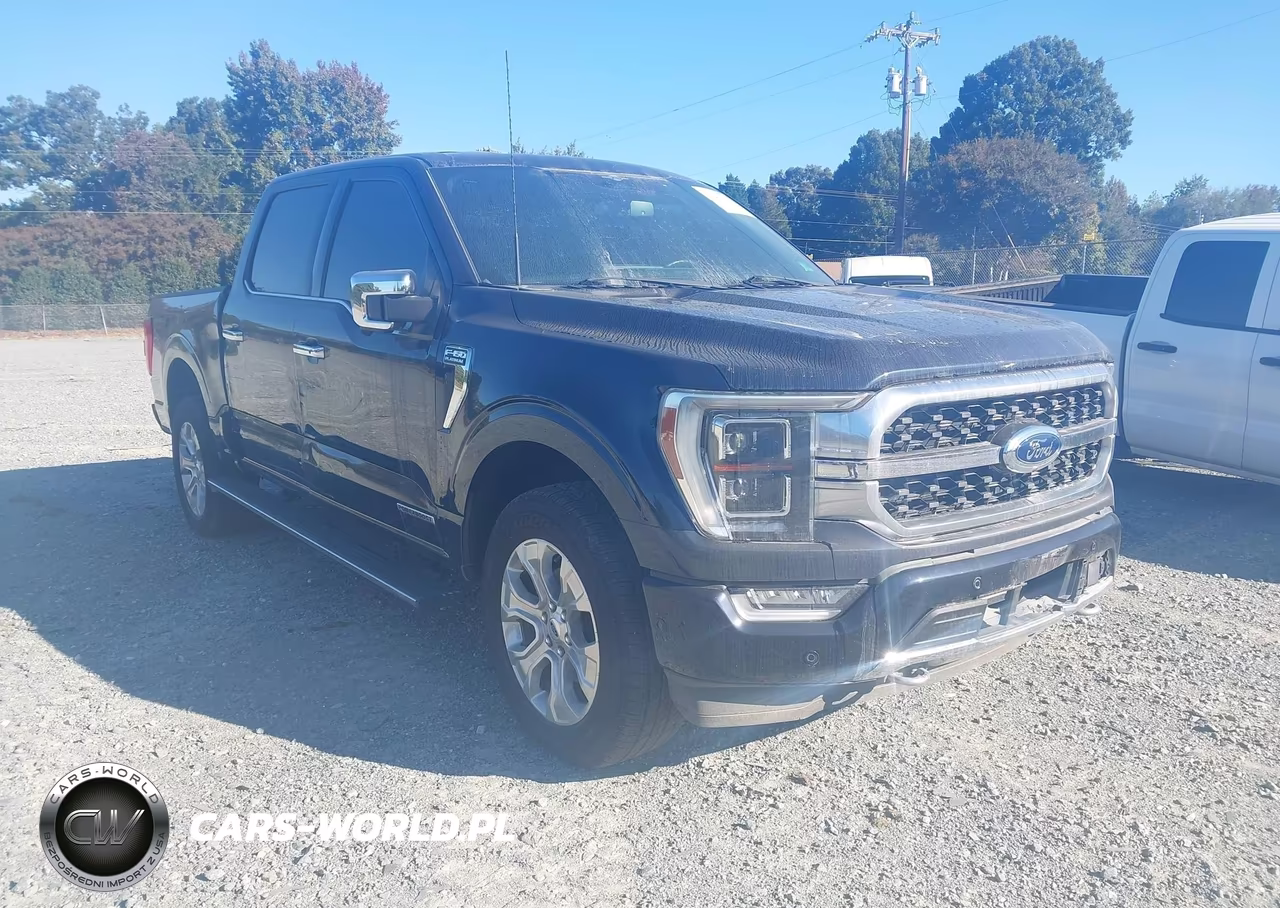 2023 Ford F-150 Platinum