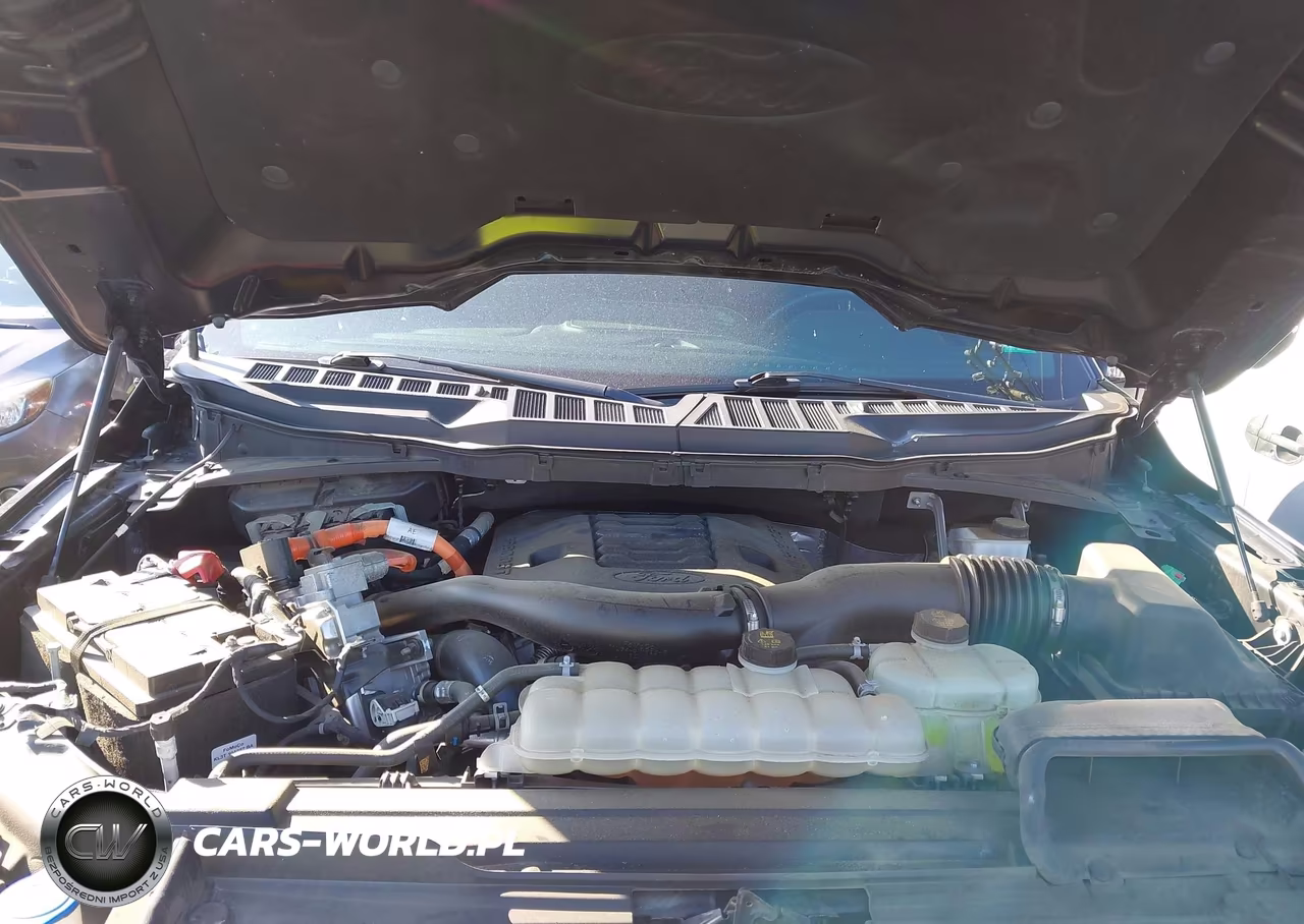 2023 Ford F-150 Platinum VIN:1FTFW1ED1PFA27242 - 10