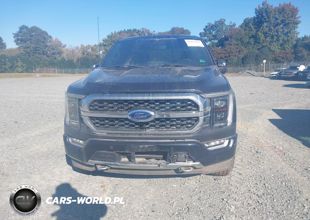 2023 Ford F-150 Platinum VIN:1FTFW1ED1PFA27242 - 12