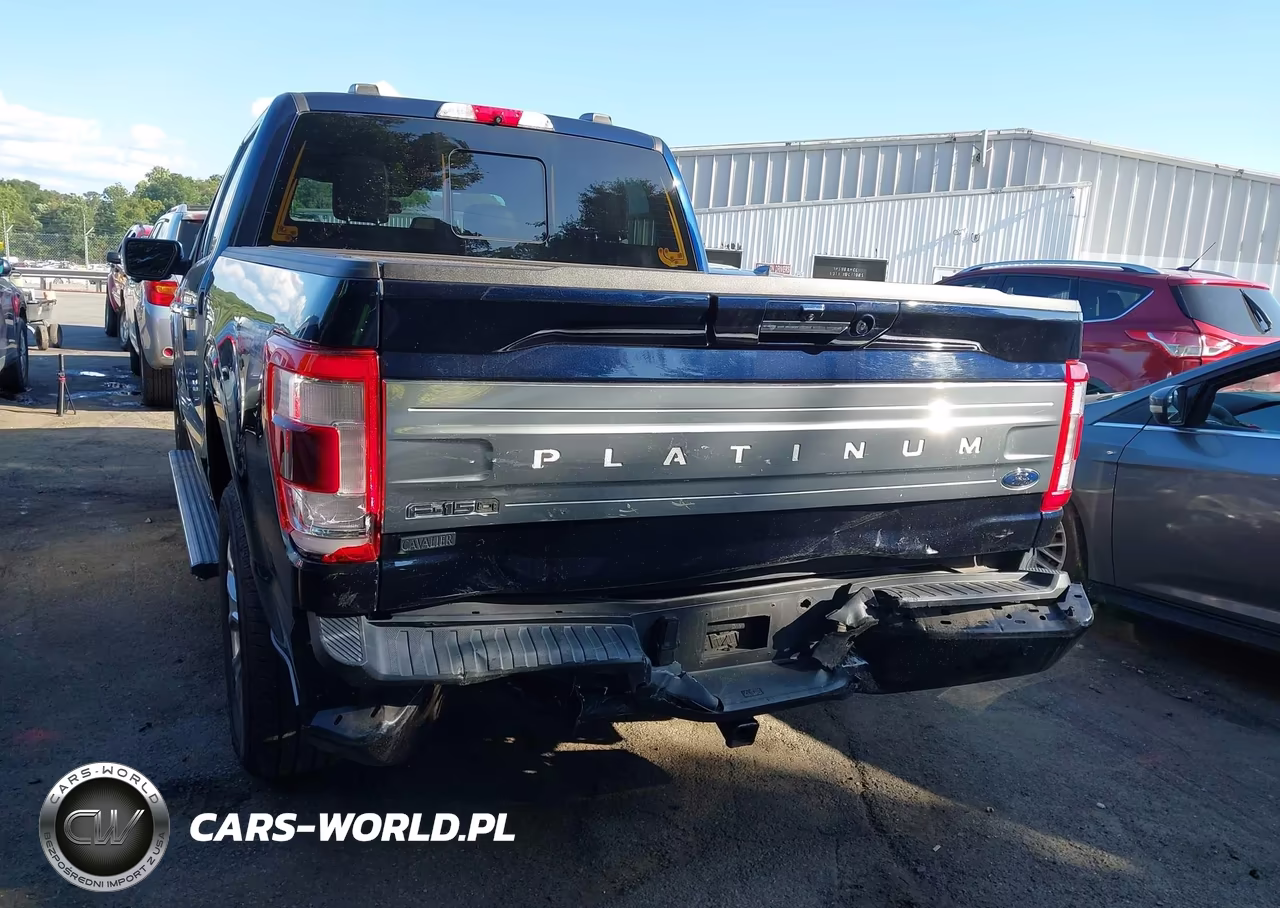 2023 Ford F-150 Platinum VIN:1FTFW1ED1PFA27242 - 17