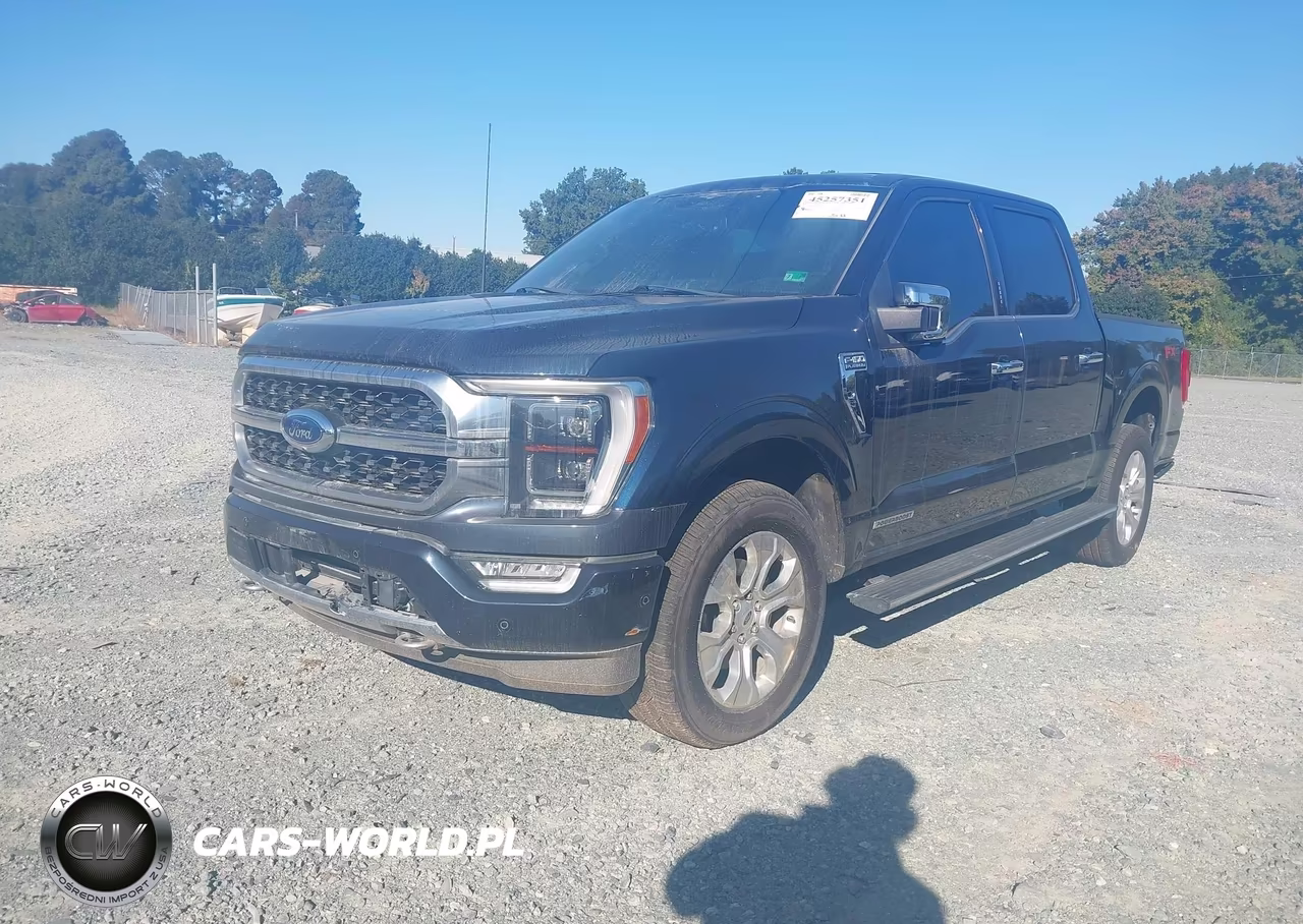 2023 Ford F-150 Platinum VIN:1FTFW1ED1PFA27242 - 2