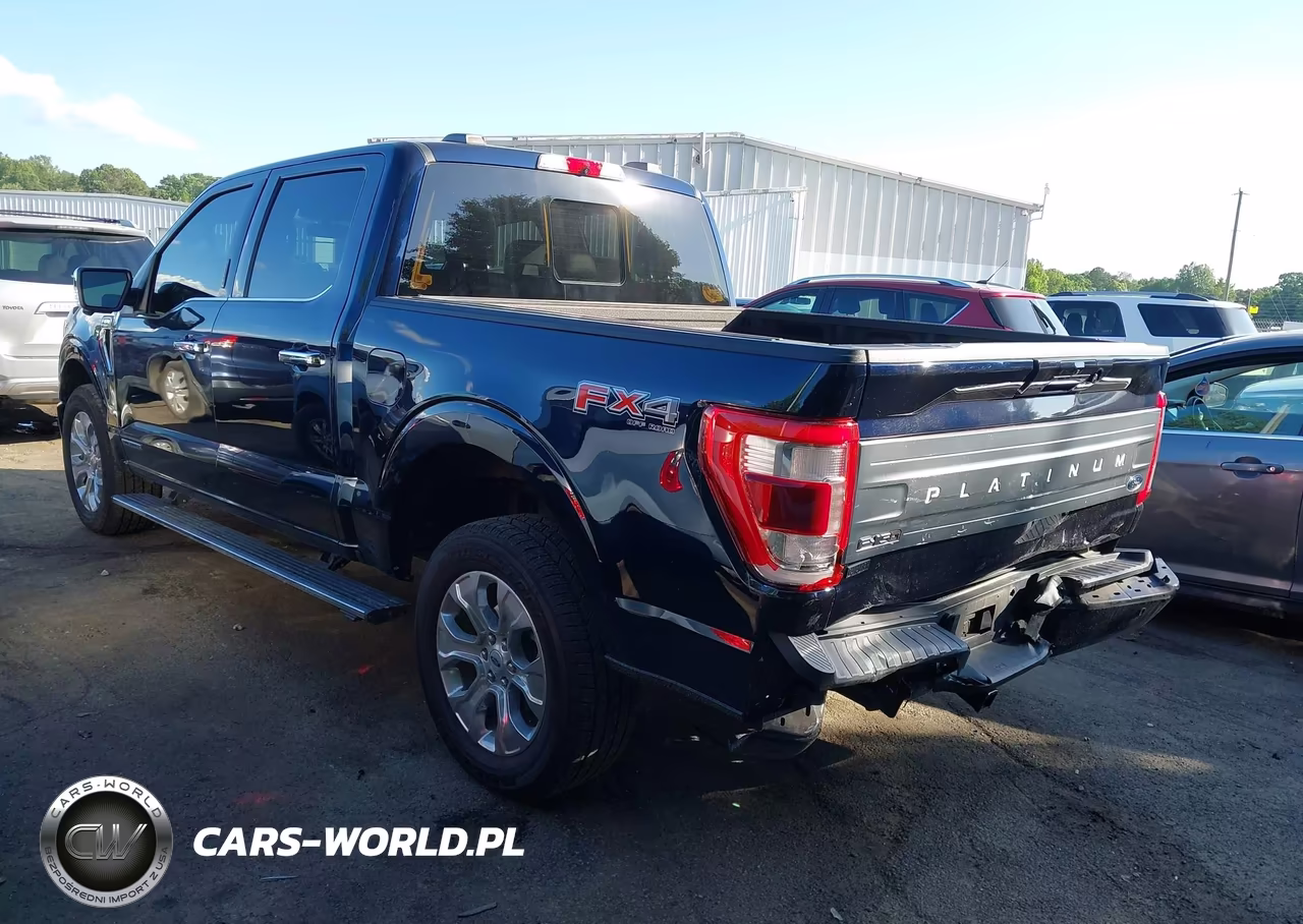 2023 Ford F-150 Platinum VIN:1FTFW1ED1PFA27242 - 3
