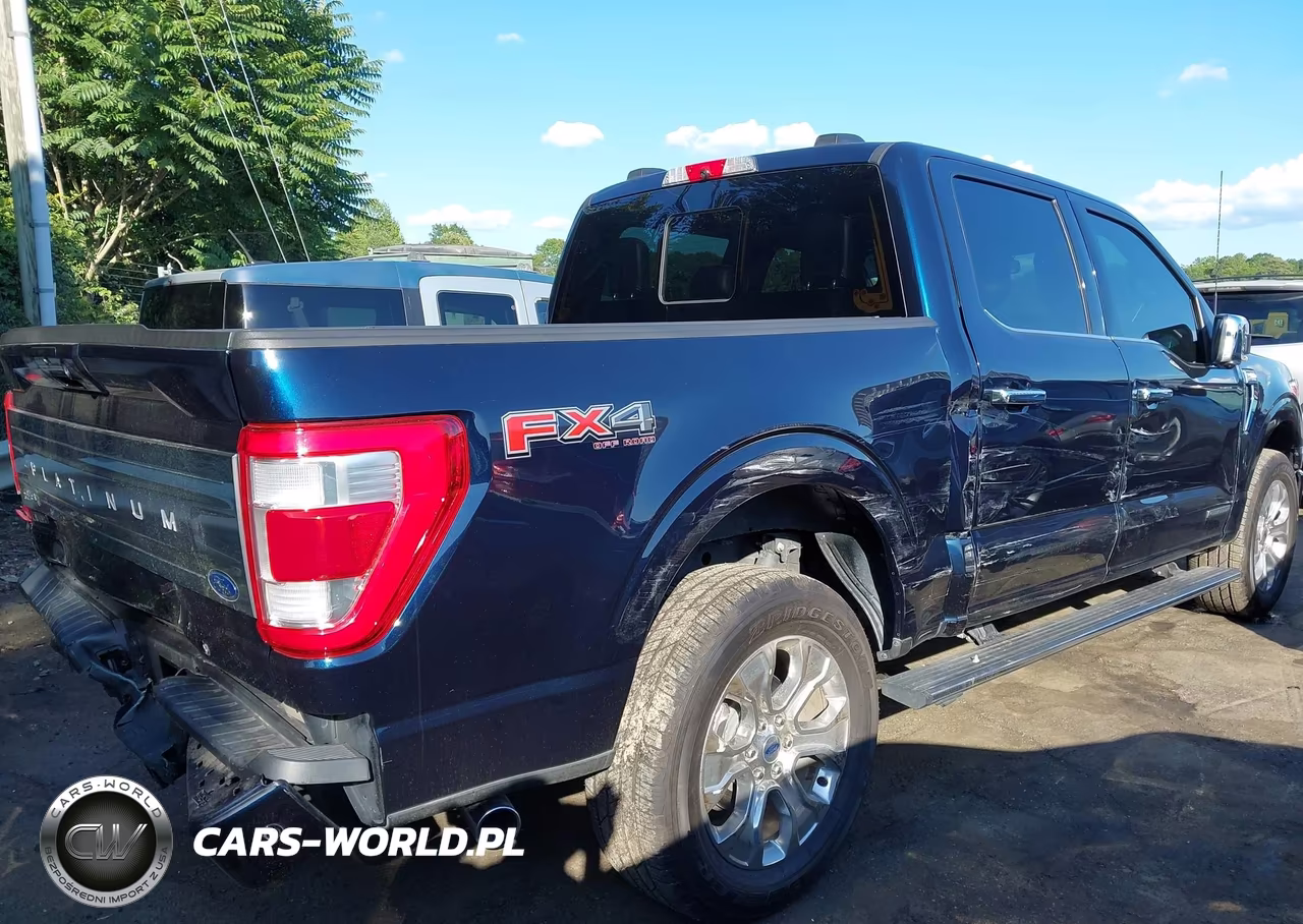 2023 Ford F-150 Platinum VIN:1FTFW1ED1PFA27242 - 6