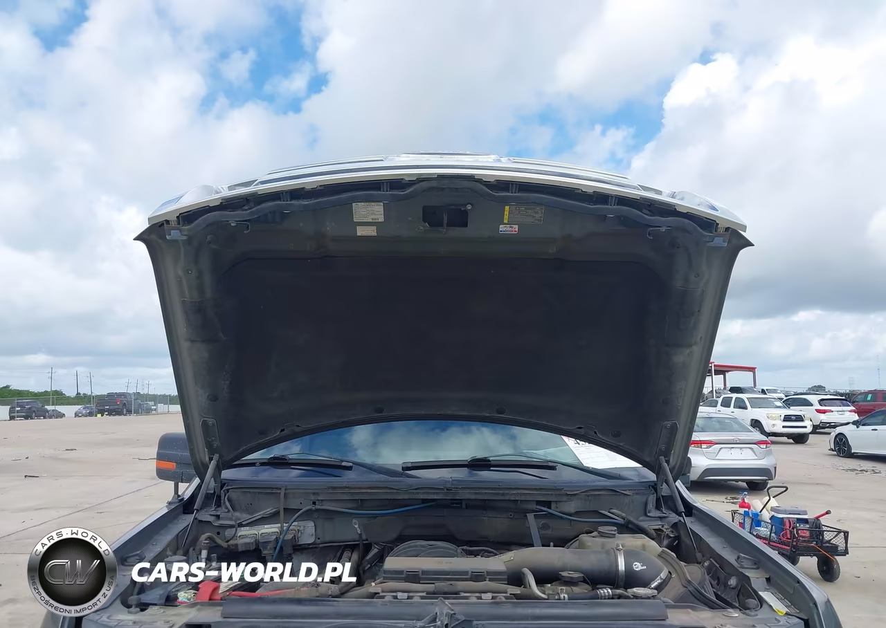 2010 Ford F-150 Fx2 Sport-Xl-Xlt VIN:1FTEW1C86AFC31320 - 10