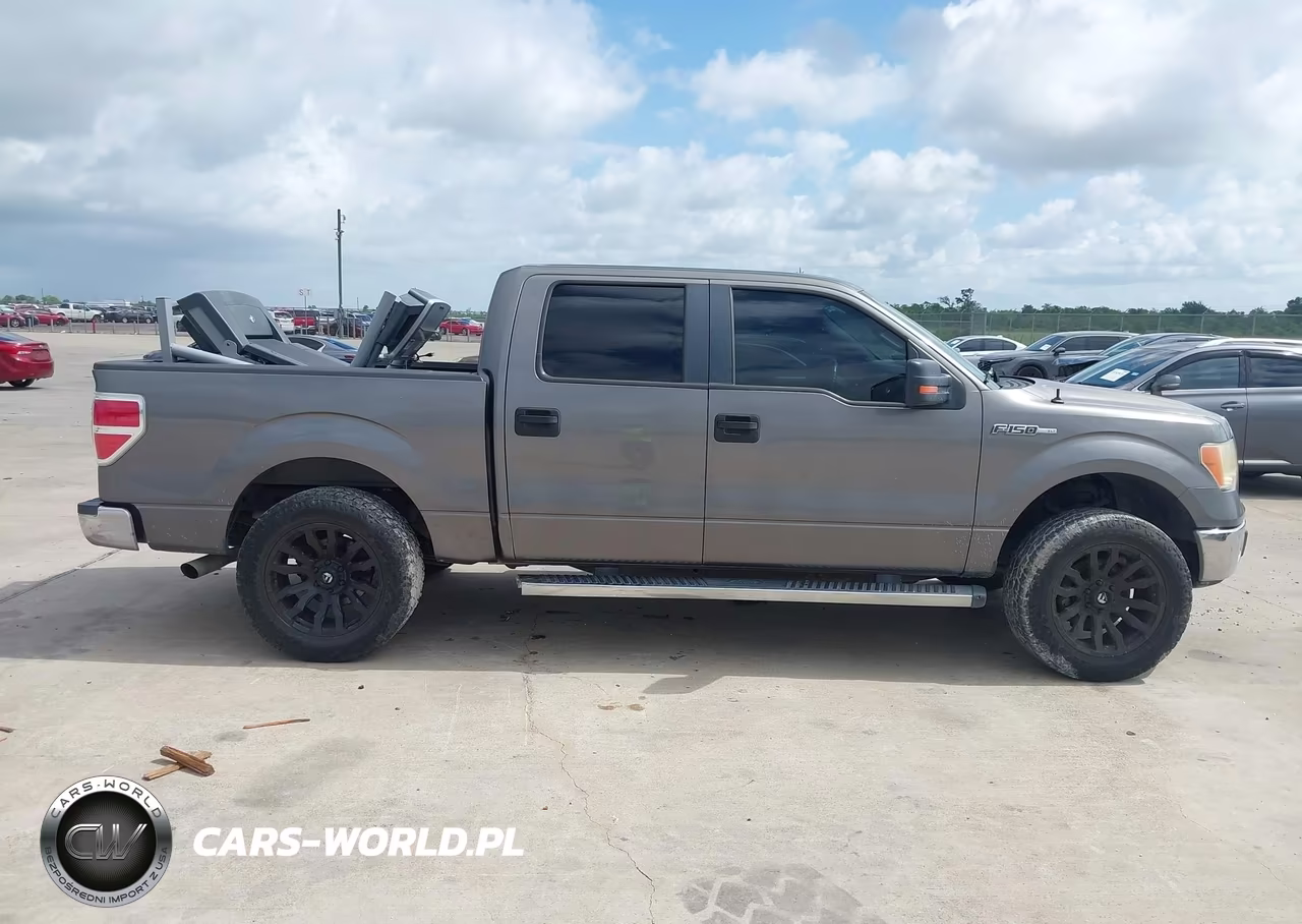 2010 Ford F-150 Fx2 Sport-Xl-Xlt VIN:1FTEW1C86AFC31320 - 13