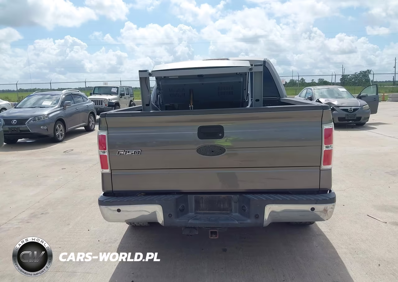 2010 Ford F-150 Fx2 Sport-Xl-Xlt VIN:1FTEW1C86AFC31320 - 16