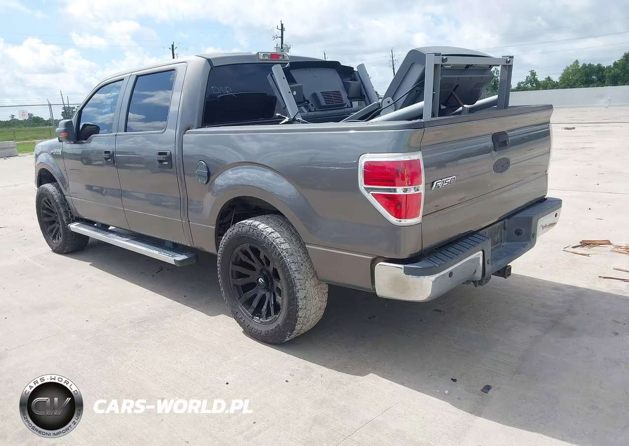 2010 Ford F-150 Fx2 Sport-Xl-Xlt VIN:1FTEW1C86AFC31320 - 3