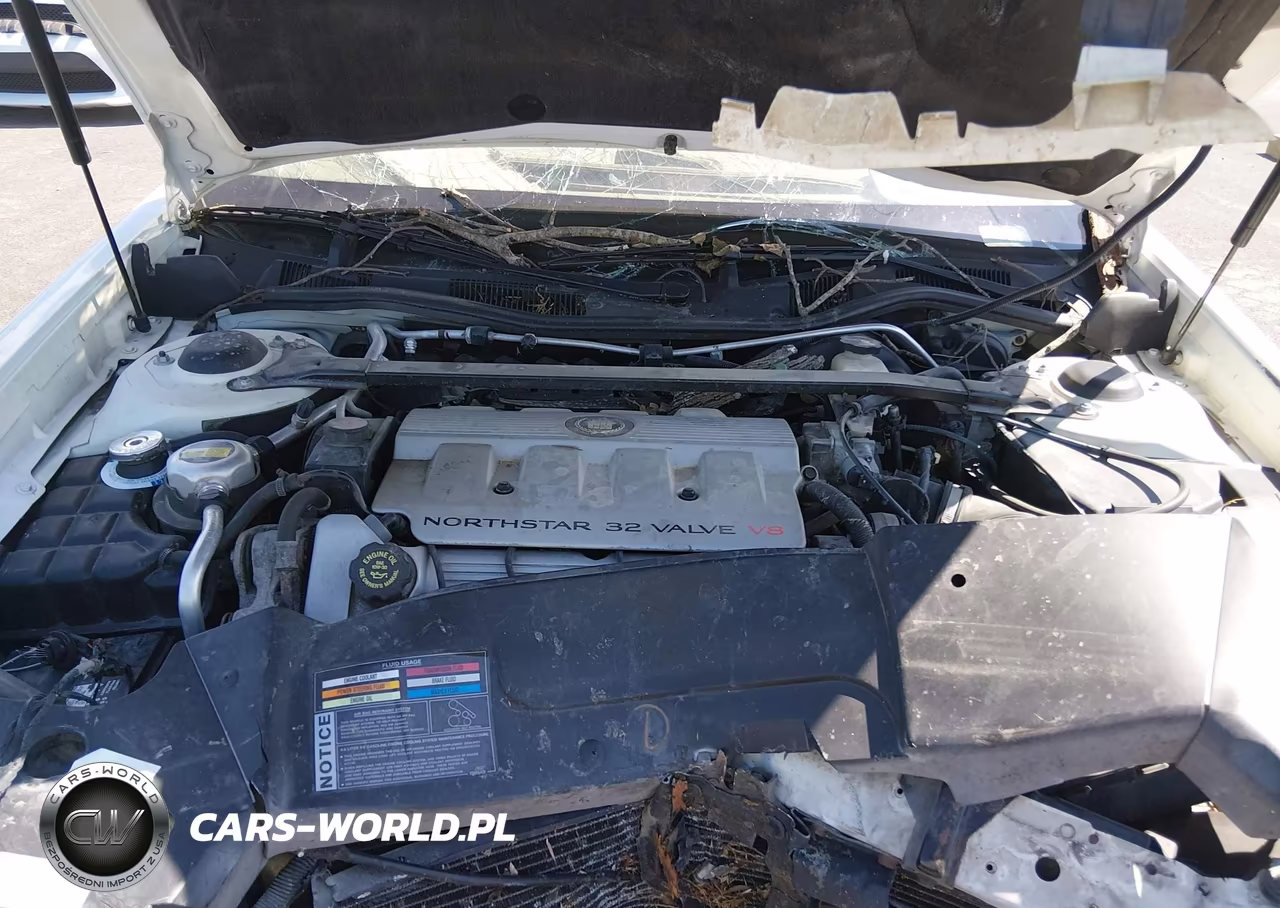 1999 Cadillac Deville Standard VIN:1G6KD54Y1XU713151 - 10