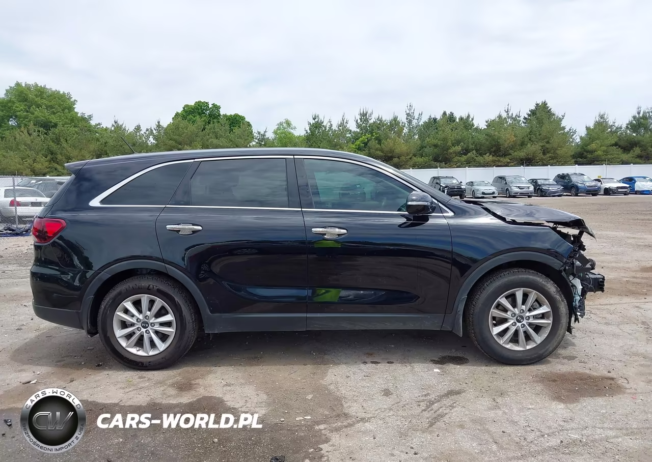 2020 Kia Sorento 2.4L Lx VIN:5XYPG4A37LG643387 - 13