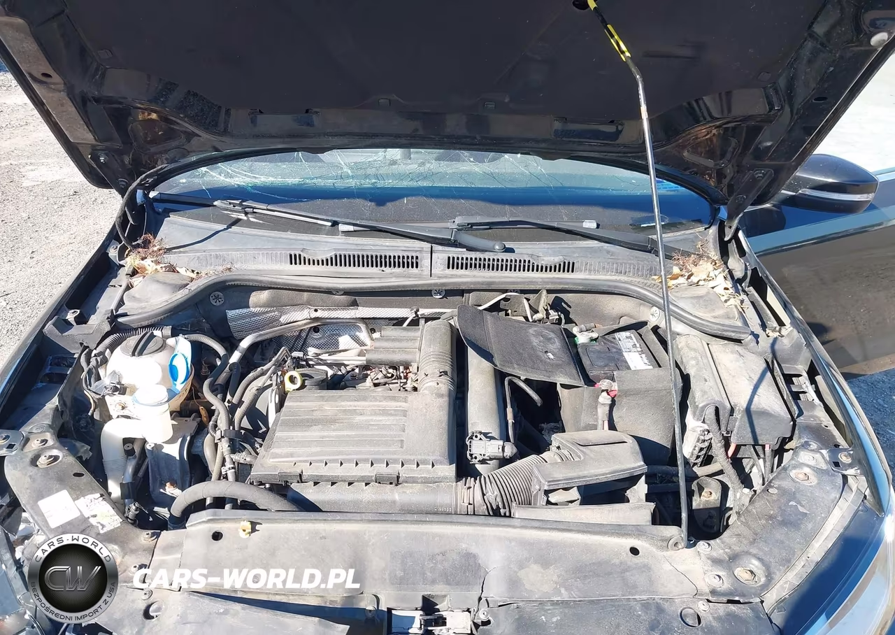 2017 Volkswagen Jetta 1.4T Se VIN:3VWB67AJ3HM257733 - 10