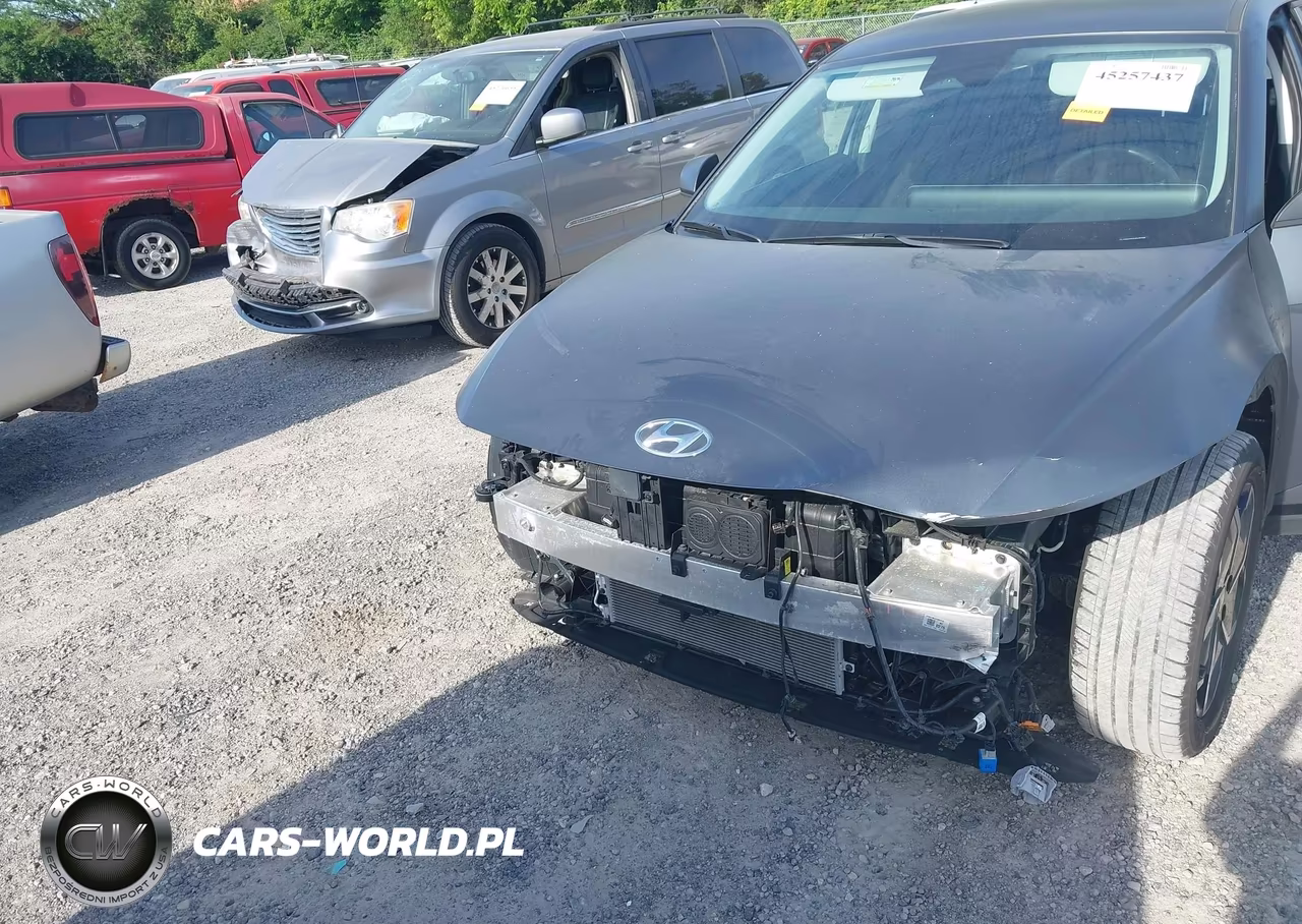 2024 Hyundai Ioniq 5 Sel VIN:KM8KNDDF4RU267028 - 10