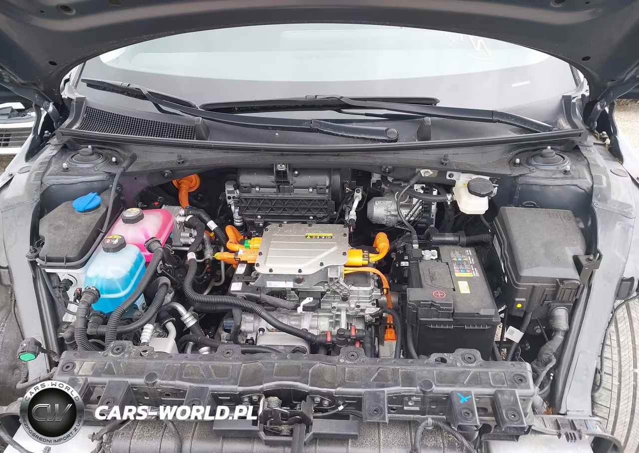2024 Hyundai Ioniq 5 Sel VIN:KM8KNDDF4RU267028 - 20