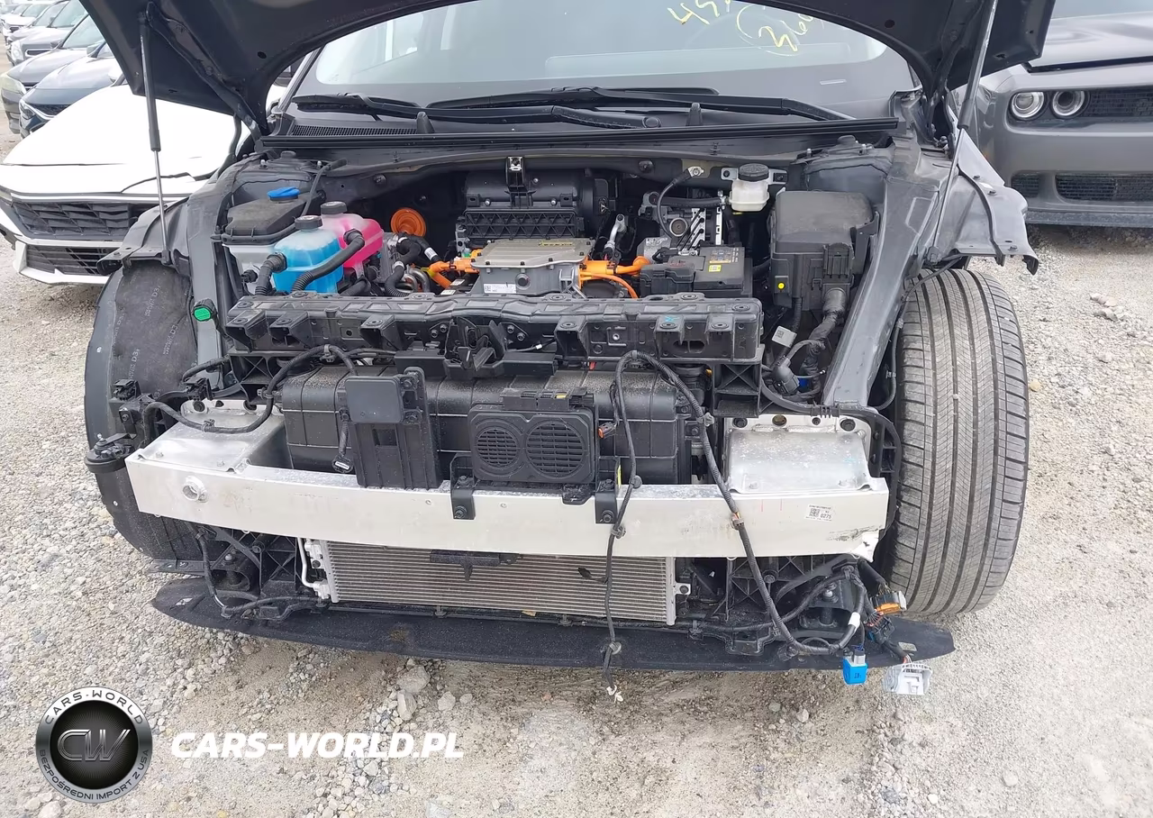 2024 Hyundai Ioniq 5 Sel VIN:KM8KNDDF4RU267028 - 21