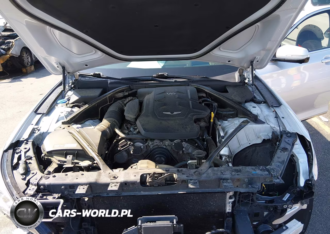 2019 Genesis G80 3.8 VIN:KMHGN4JE6KU300229 - 10